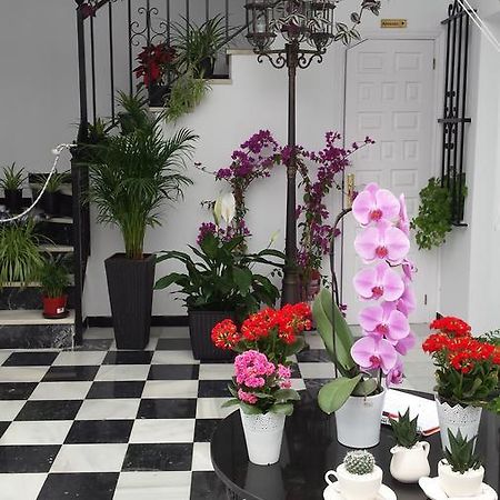 Hospederia Rural Las Buganvillas 埃尔罗西奥 外观 照片