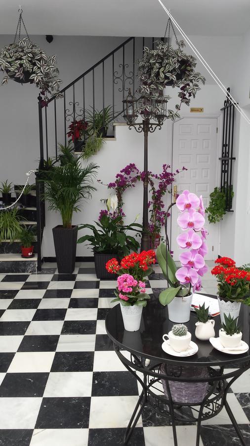 Hospederia Rural Las Buganvillas 埃尔罗西奥 外观 照片