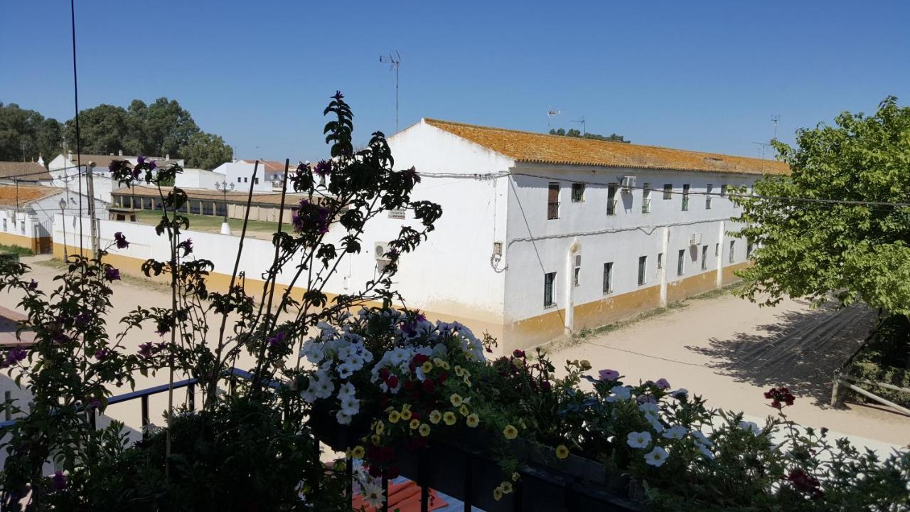 Hospederia Rural Las Buganvillas 埃尔罗西奥 外观 照片