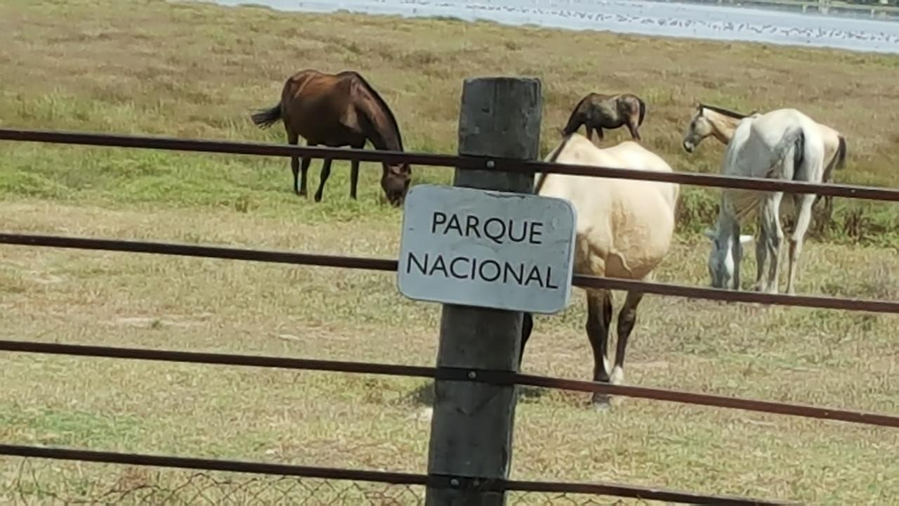 Hospederia Rural Las Buganvillas 埃尔罗西奥 外观 照片