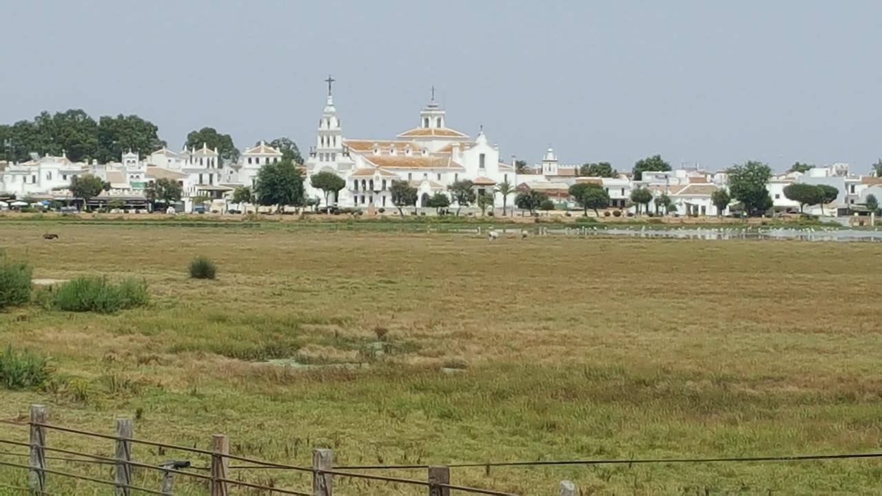 Hospederia Rural Las Buganvillas 埃尔罗西奥 外观 照片