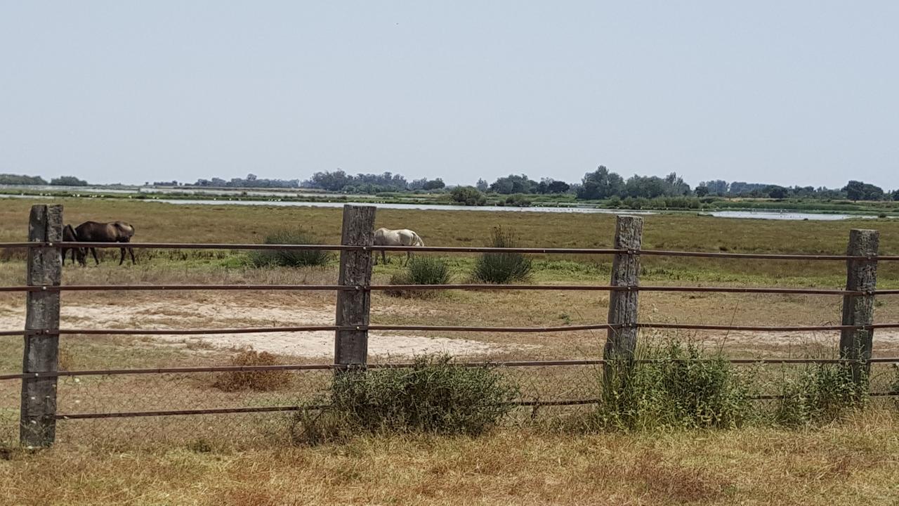 Hospederia Rural Las Buganvillas 埃尔罗西奥 外观 照片