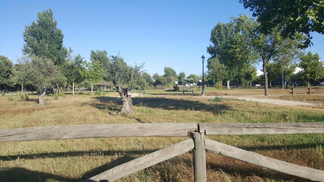 Hospederia Rural Las Buganvillas 埃尔罗西奥 外观 照片