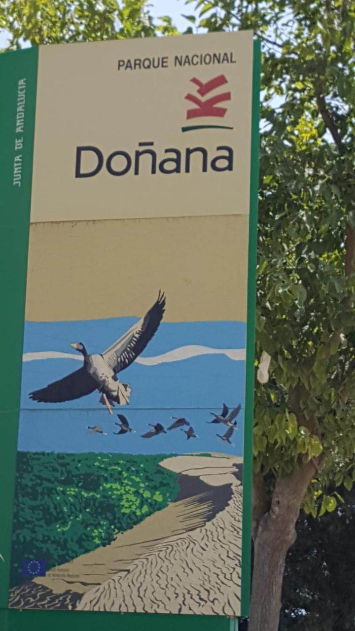 Hospederia Rural Las Buganvillas 埃尔罗西奥 外观 照片