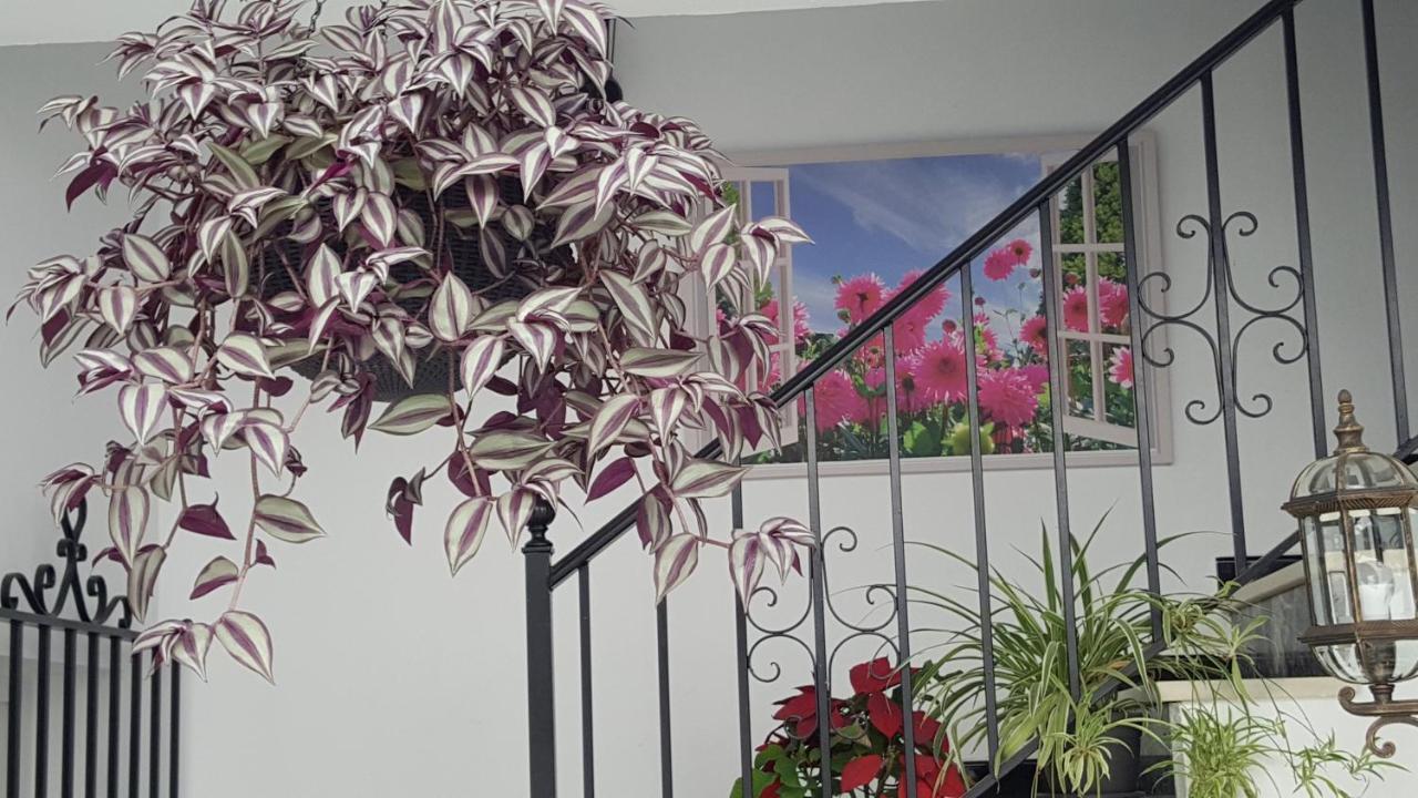 Hospederia Rural Las Buganvillas 埃尔罗西奥 外观 照片