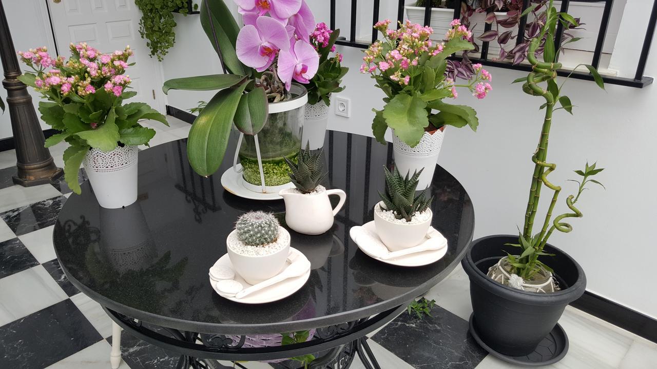 Hospederia Rural Las Buganvillas 埃尔罗西奥 外观 照片
